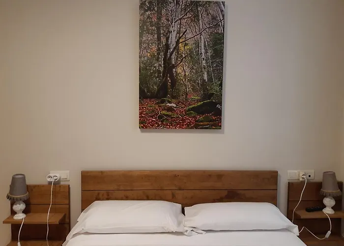 Apartamento Familiar Con Vistas Y Garage La Portiecha Apartment Sallent De Gallego